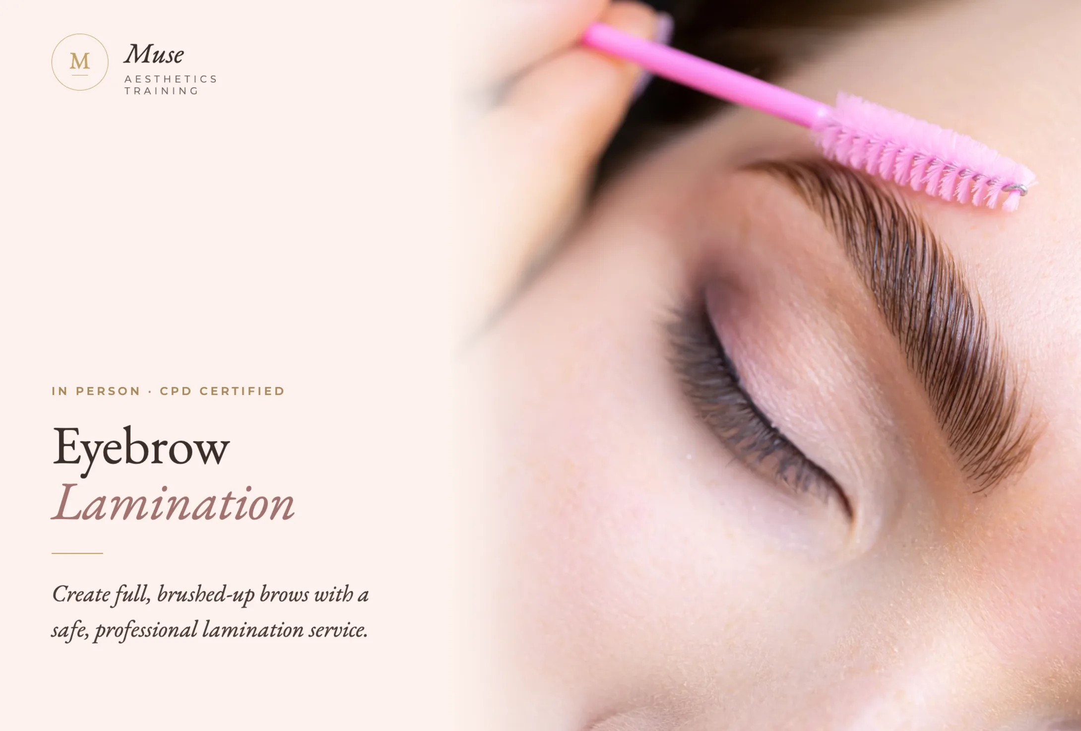 Eyebrow Lamination