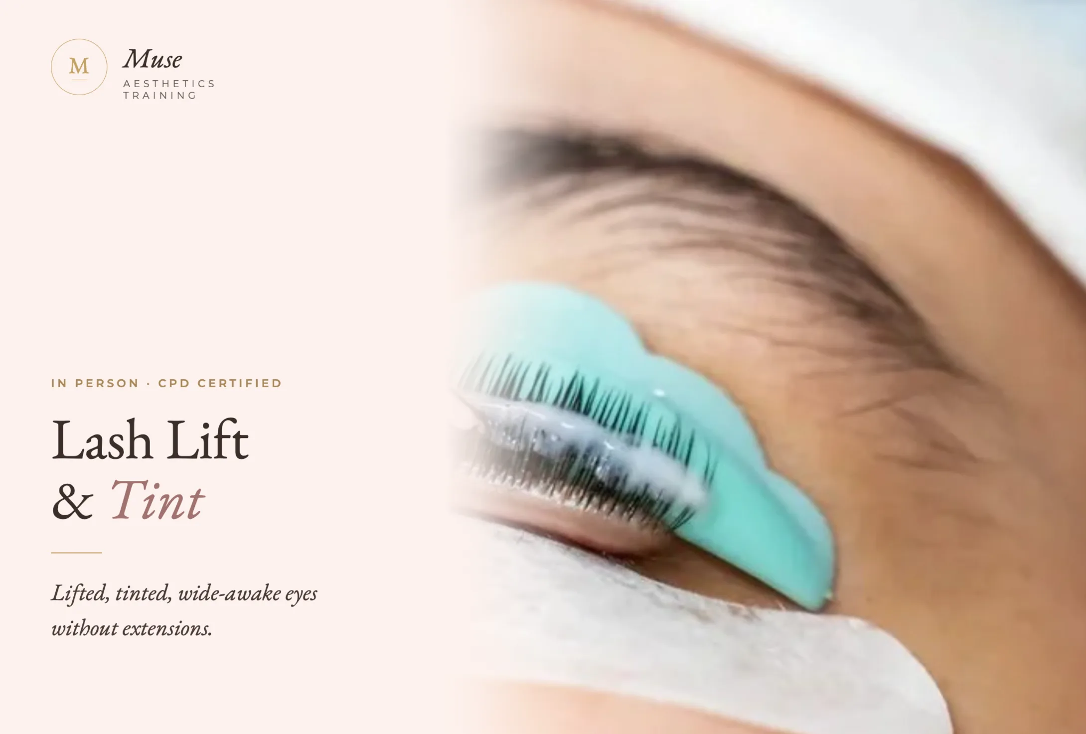 Lash Lift & Tint
