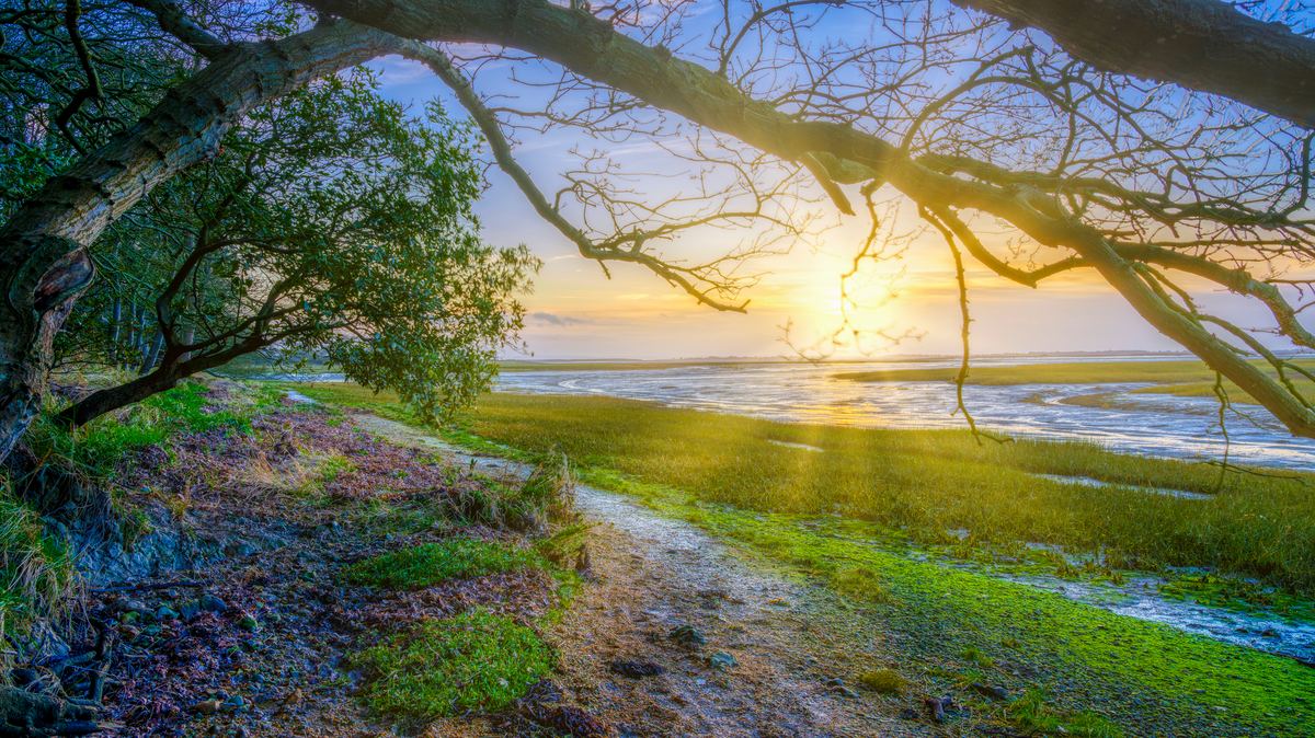 Itchenor on Chichester Harbour, where the Muse academy sits
